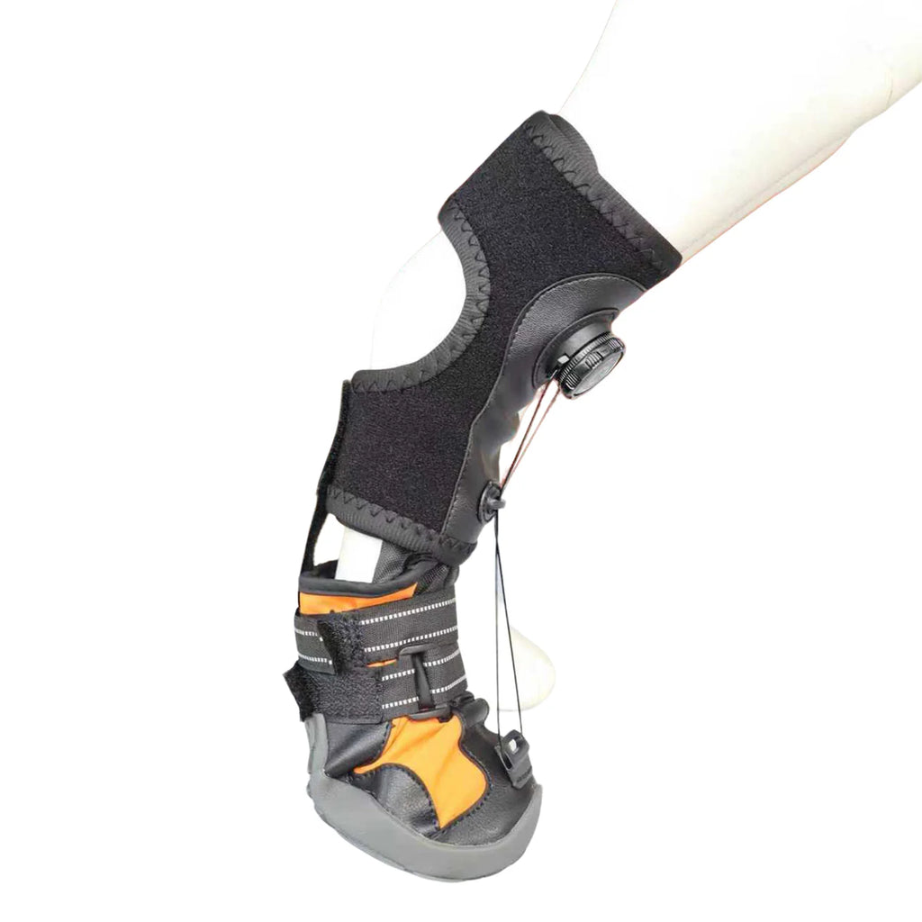 Pet Shoes