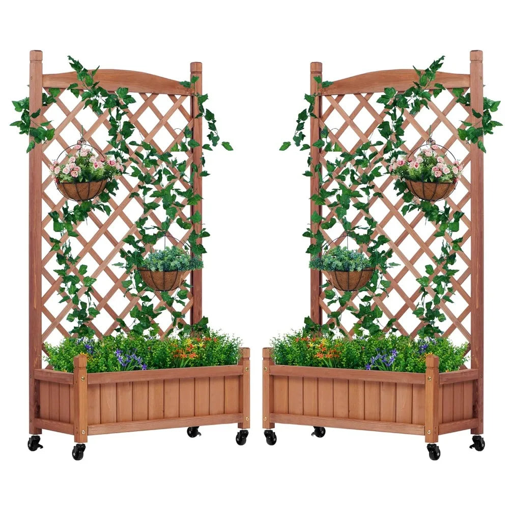 Raised Garden Bed with Trellis