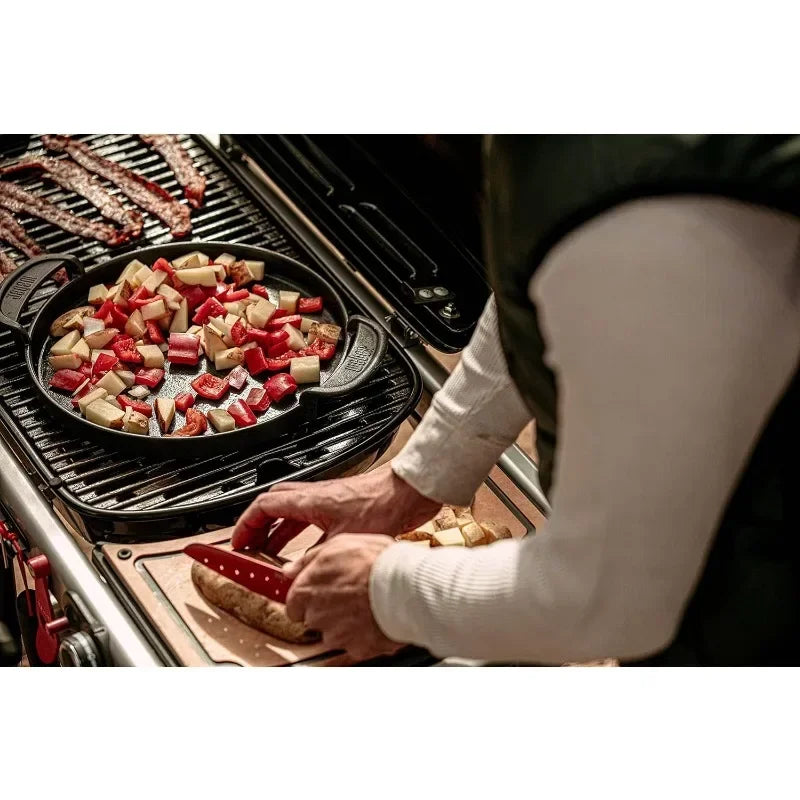 Portable Gas Grill,