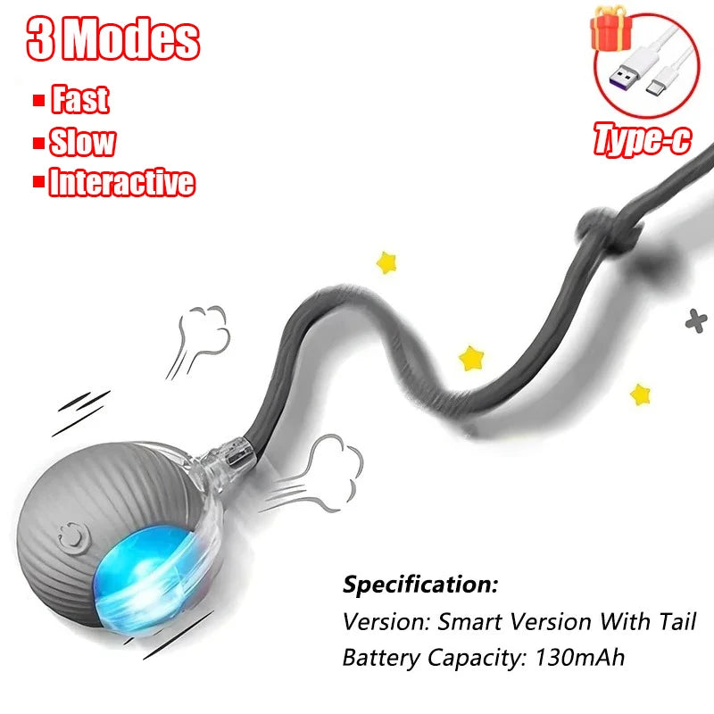 Cat Interactive Ball Toy
