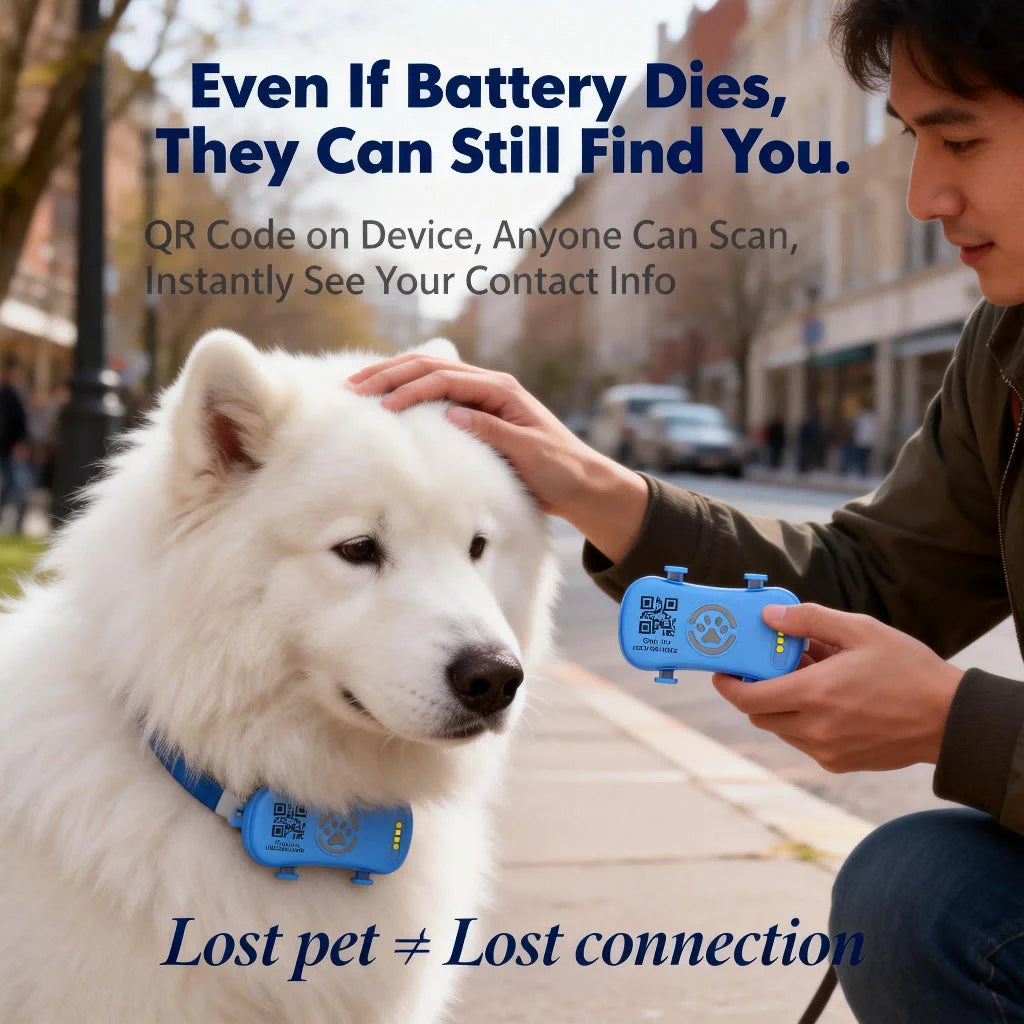 Dogs Cats Tracking