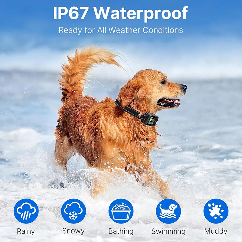 GPS  Dog Fence Barking  Trainer  Electric Shock Collar
