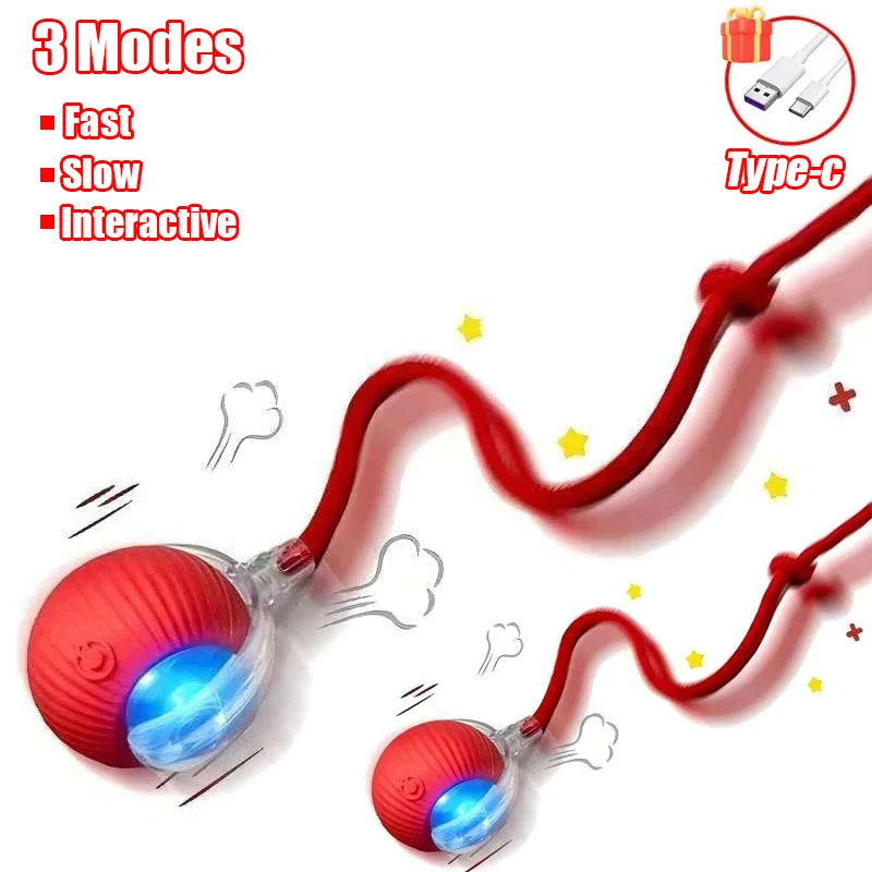 Cat Interactive Ball Toy
