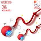 Cat Interactive Ball Toy