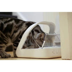 Automatic Pet Feeder