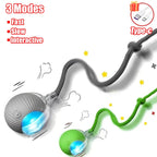 Cat Interactive Ball Toy