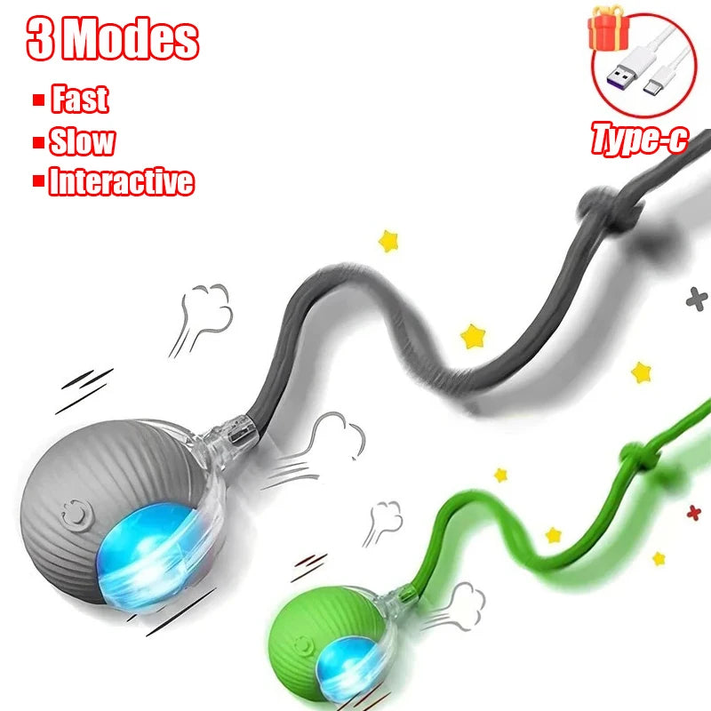 Cat Interactive Ball Toy