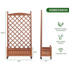 Raised Garden Bed with Trellis