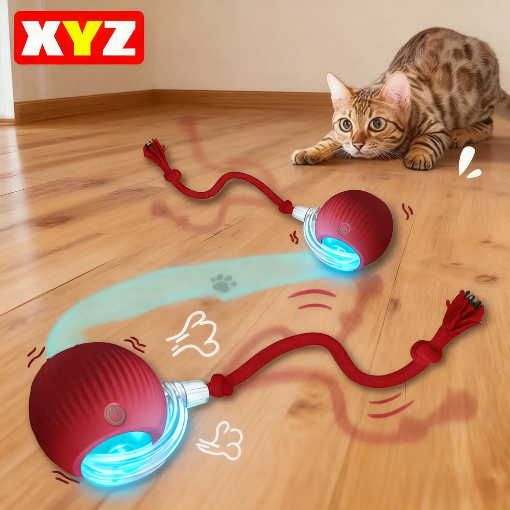 Cat Interactive Ball Toy