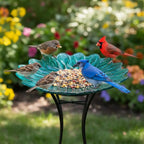 Large Glass Bird Bath