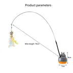 cat toy