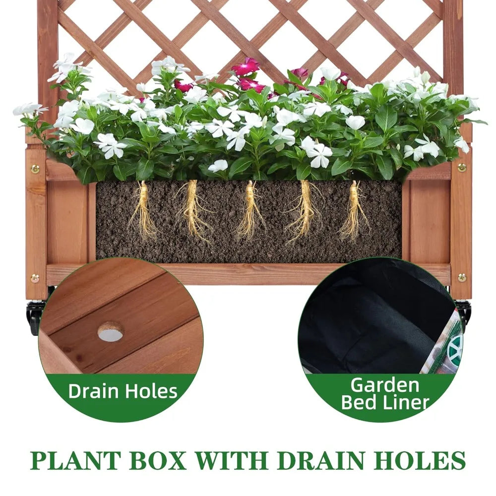 Raised Garden Bed with Trellis