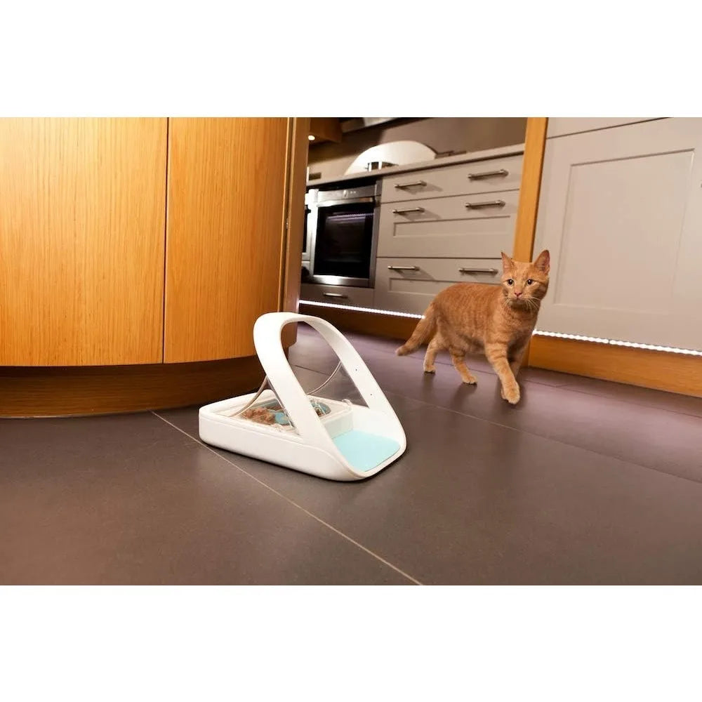 Automatic Pet Feeder