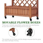 Raised Garden Bed with Trellis