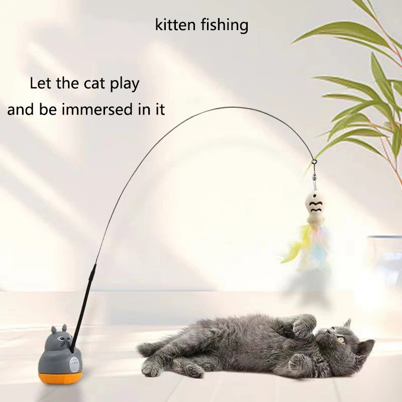 cat toy