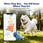 Dogs Cats Tracking