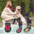 Pet Shoes