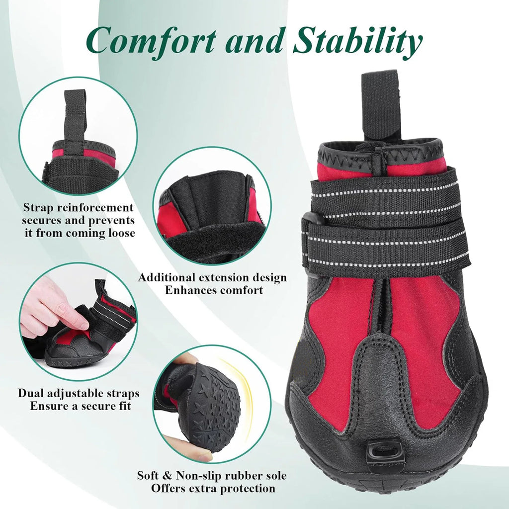 Pet Shoes