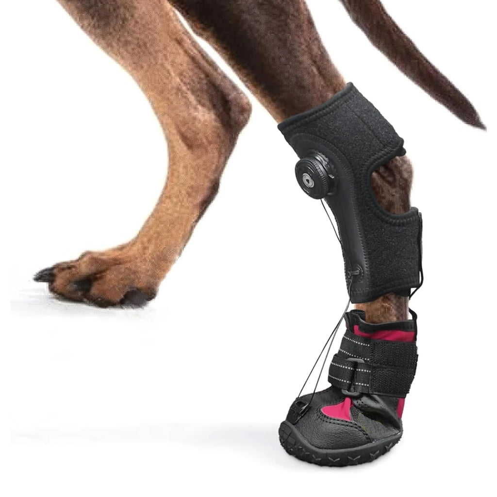 Pet Shoes