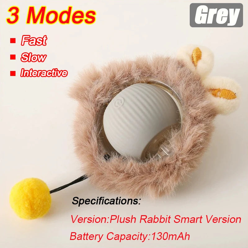 Cat Interactive Ball Toy