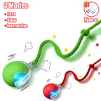 Cat Interactive Ball Toy
