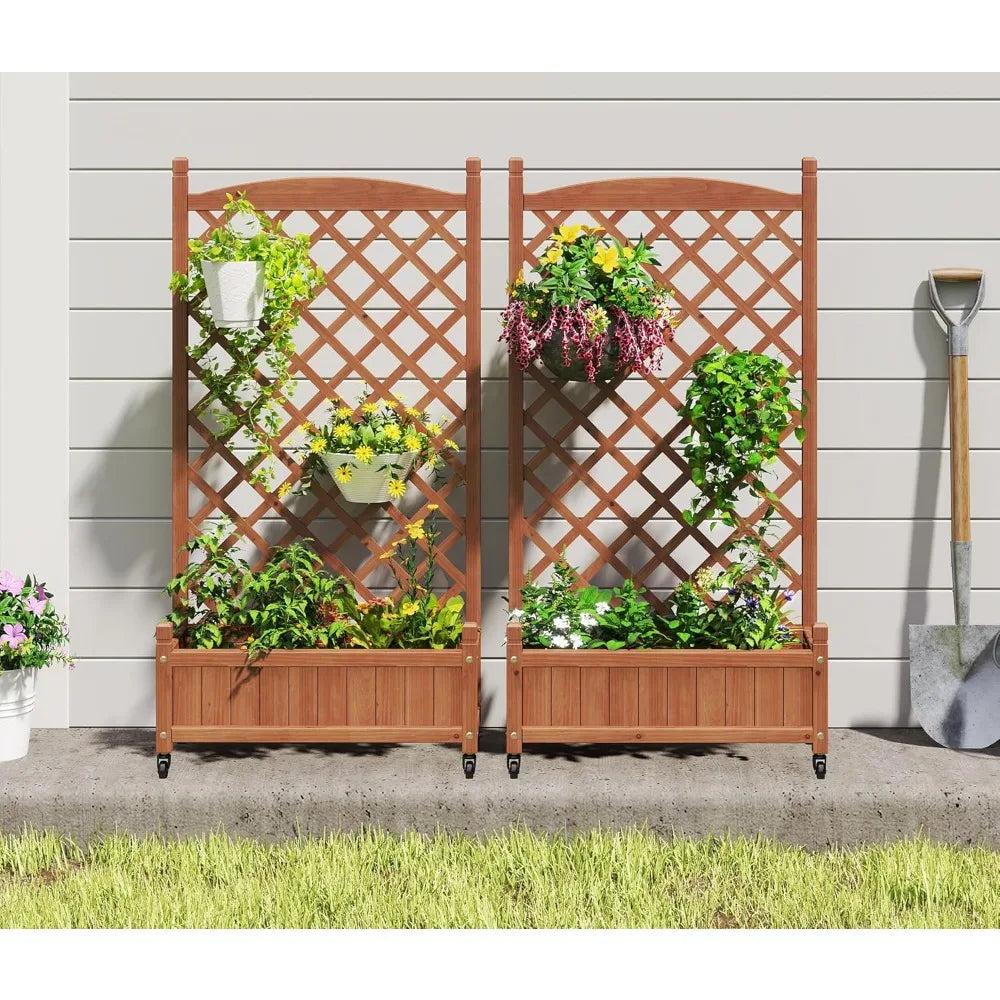 Raised Garden Bed with Trellis