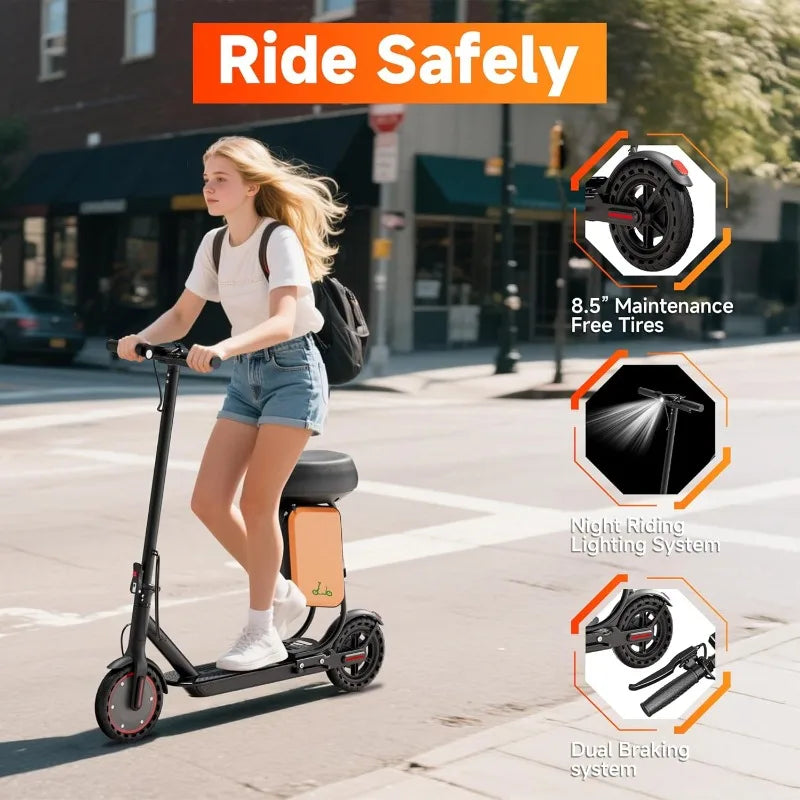 Electric Scooter